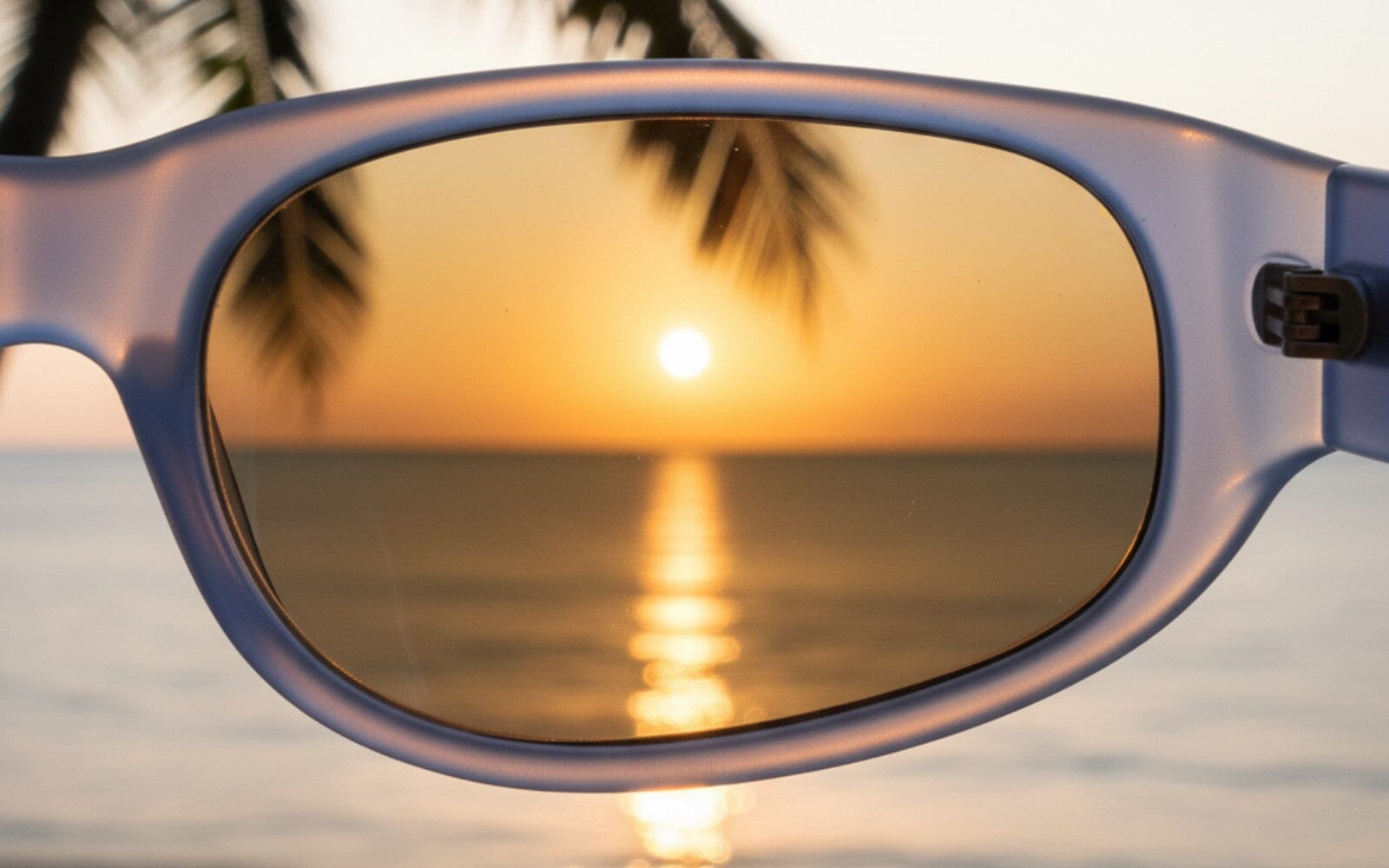 Polarised or Non-Polarised: Which Is Right for You?