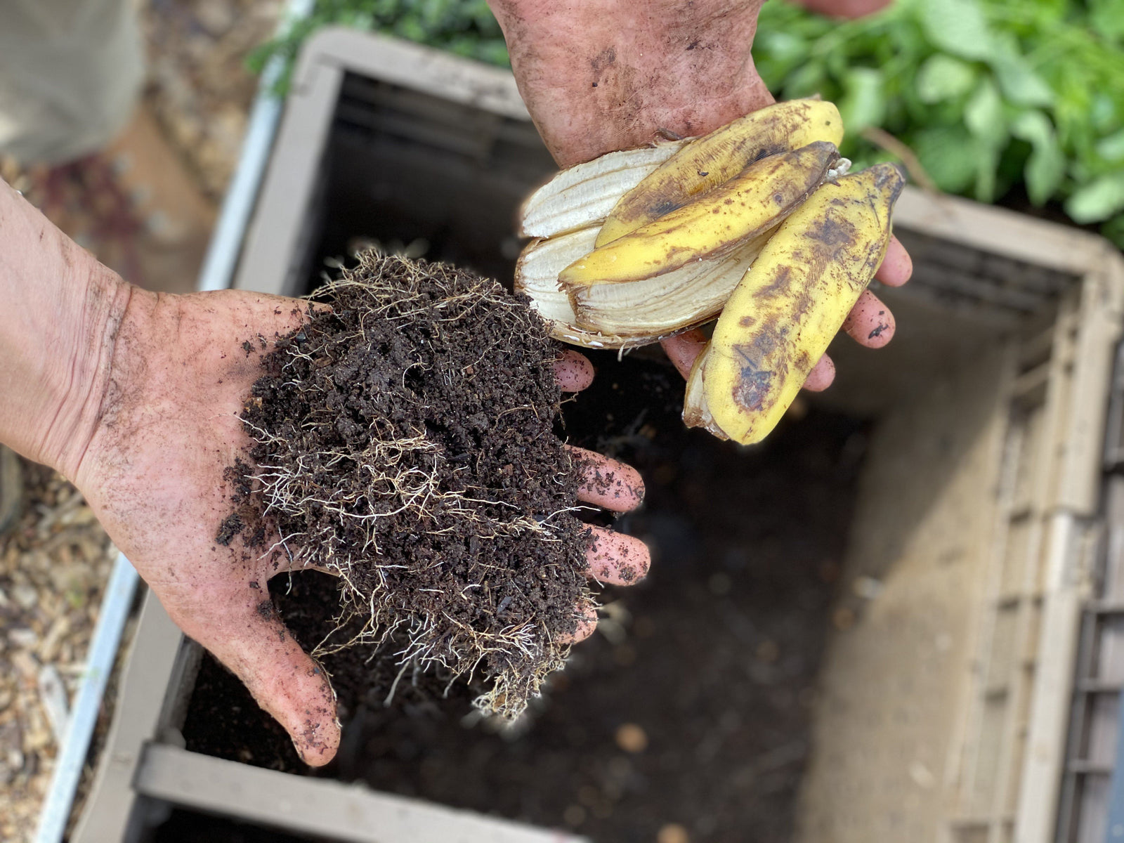 Waste - reclaiming our right to slow food