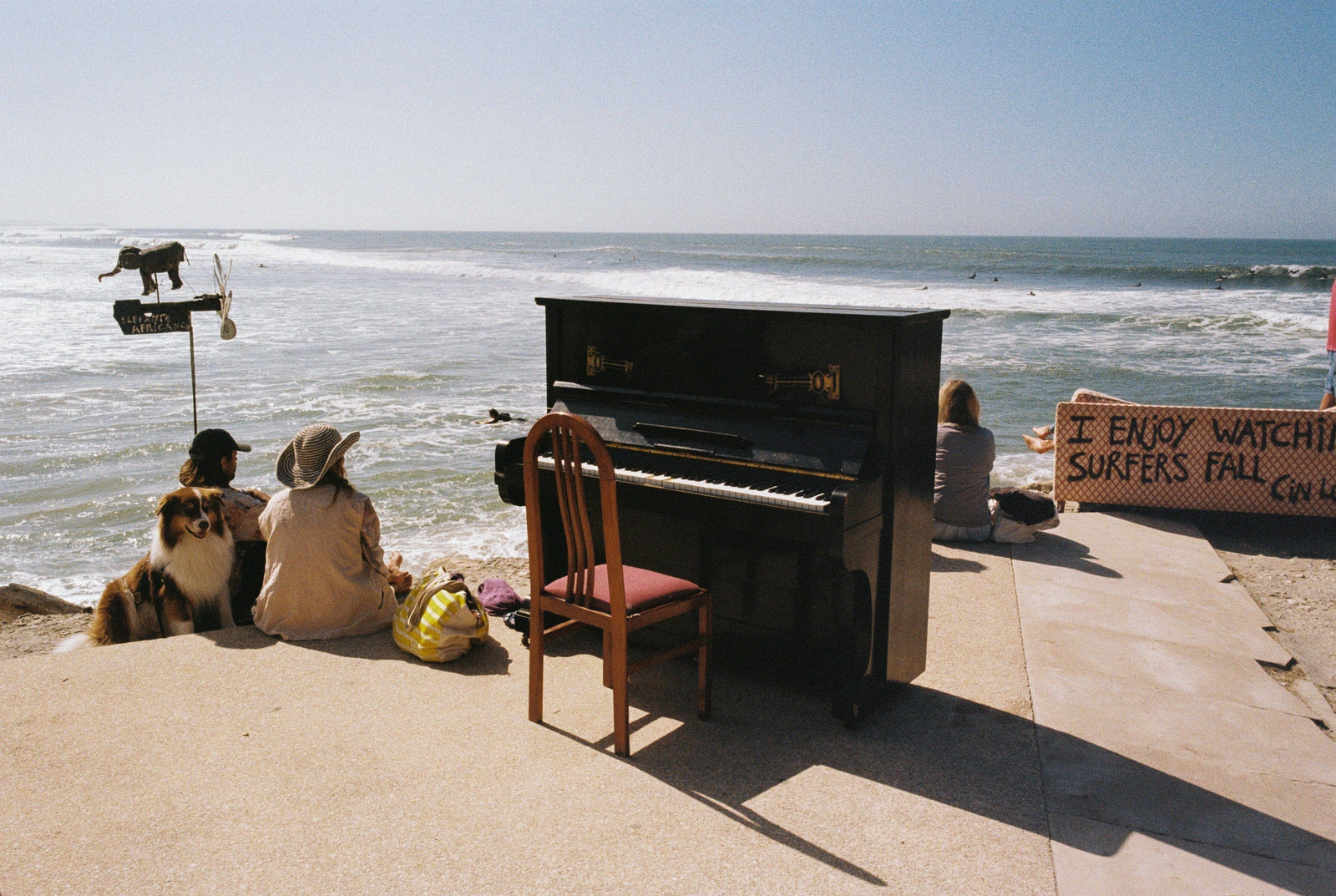 Gliding Barnacles - blending art music and surf