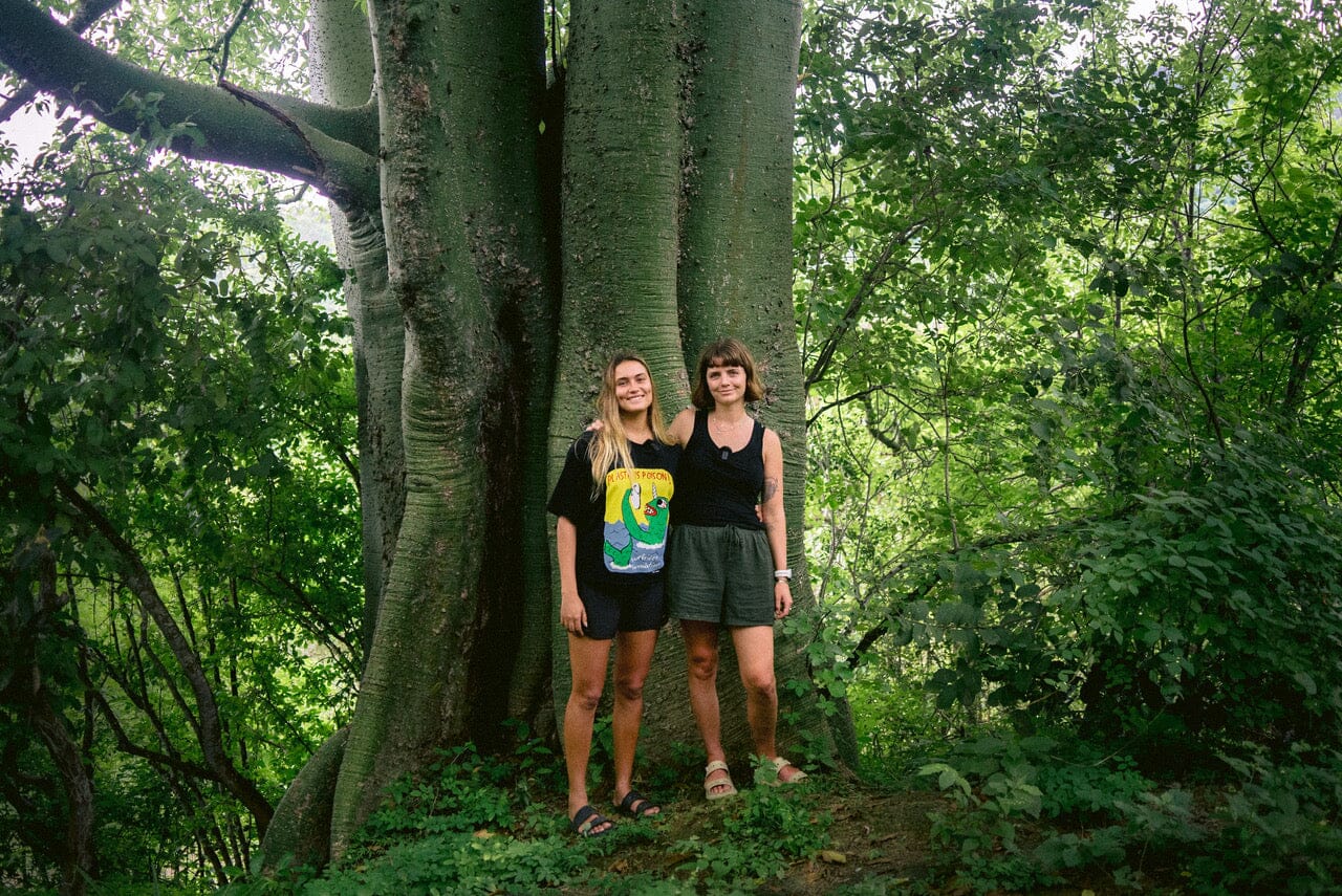 Ceibo with Lucy Small, Pacha Light and Maddie Meddings