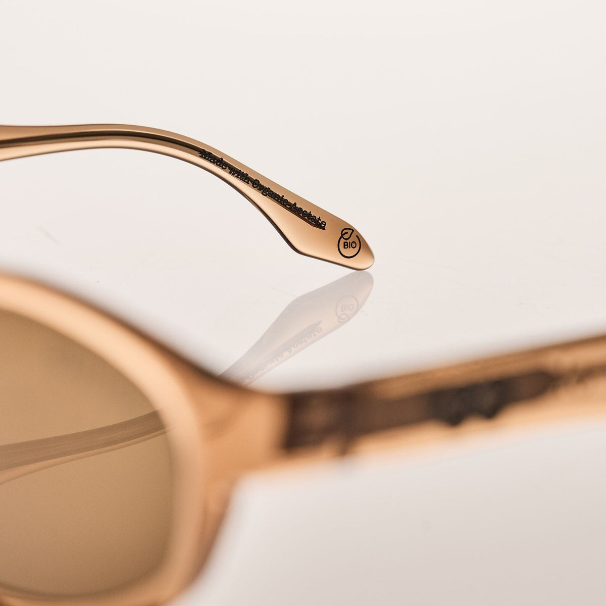 PALOMA Cola | Amber Bio Lens