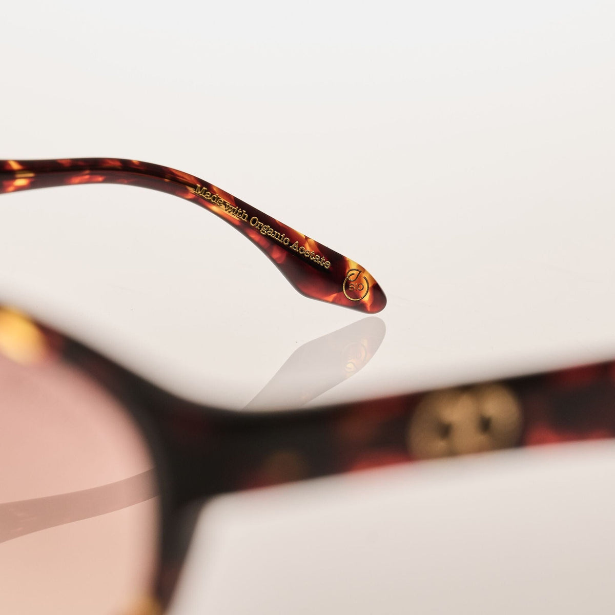 PALOMA Gloss Tort | Rose Gradient Bio Lens