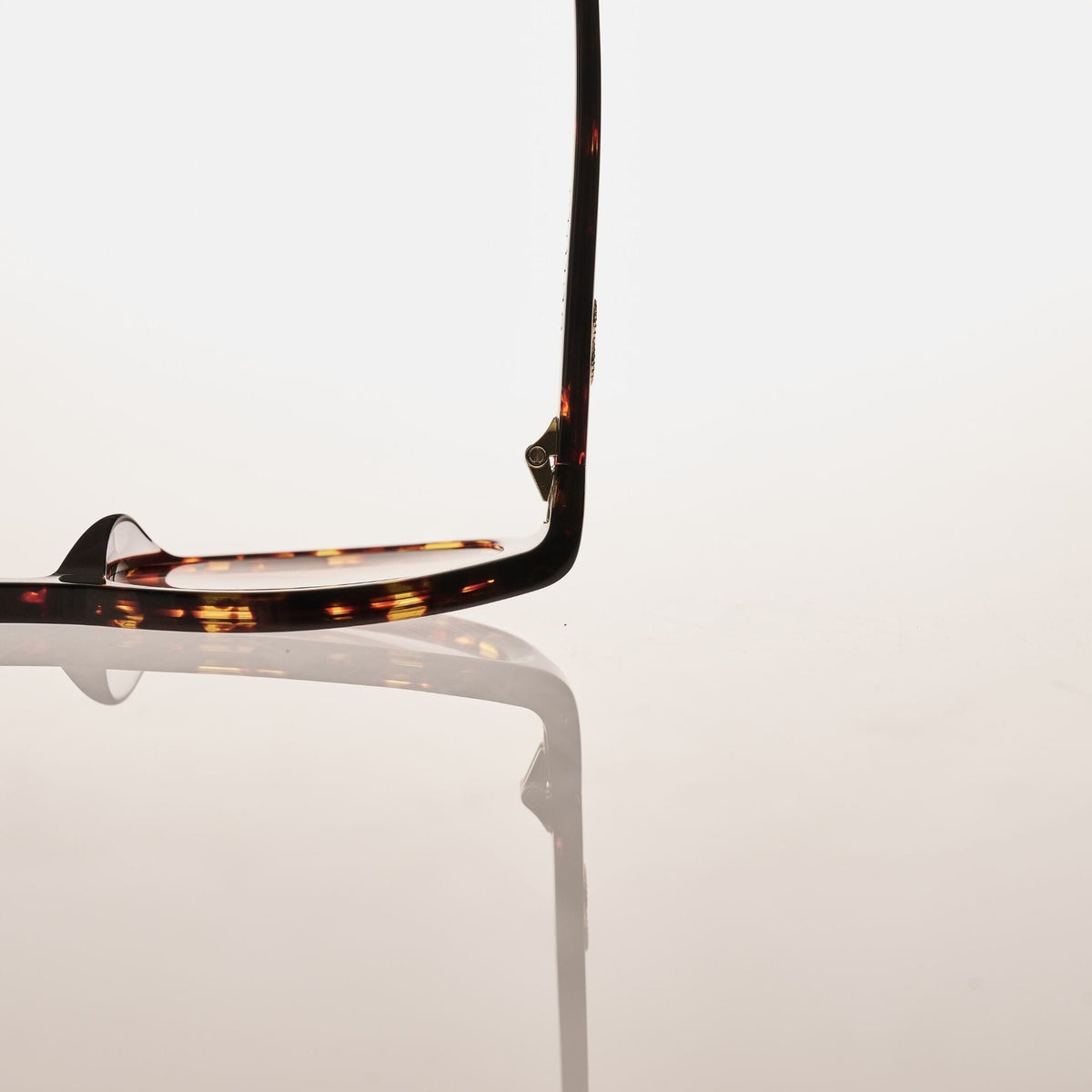 PALOMA Gloss Tort | Rose Gradient Bio Lens