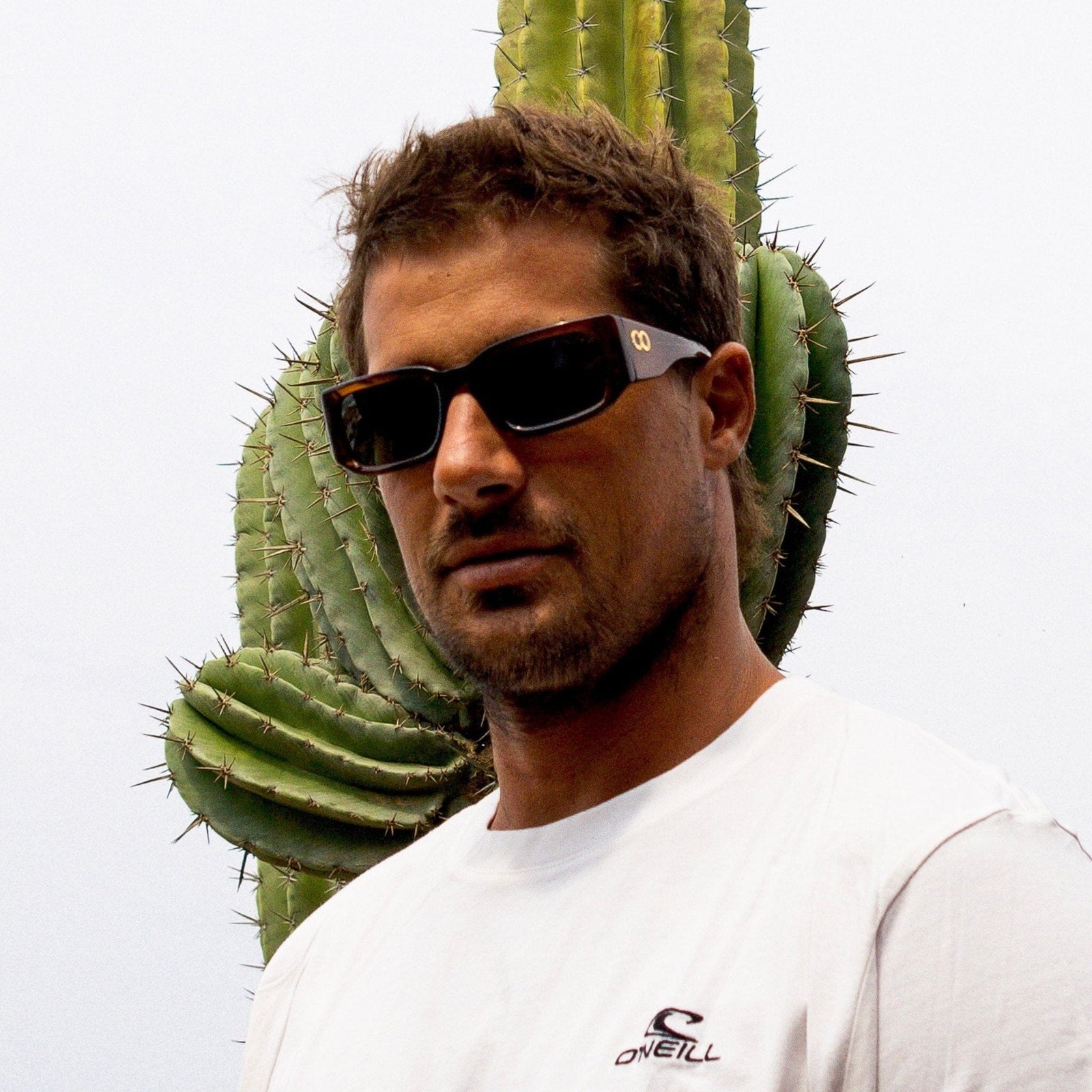 SoliTV Cola | Green Polarised Bio Lens